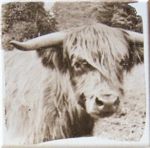 larissa stoiser gelatine on canvas