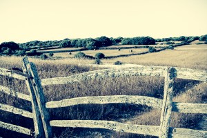 larissa stoiser ruhe