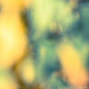 larissa stoiser wine impressions