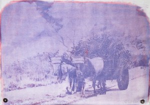 larissa stoiser rodado avanzar